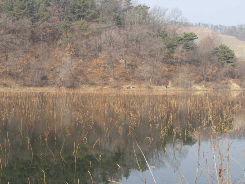 pro_johwang_02301431.jpg