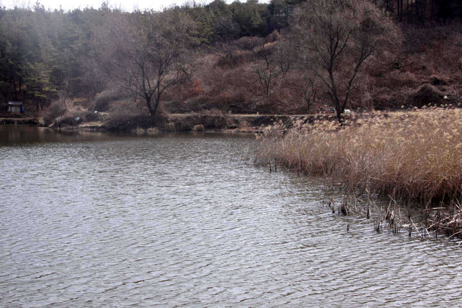 pro_johwang_02305475.jpg