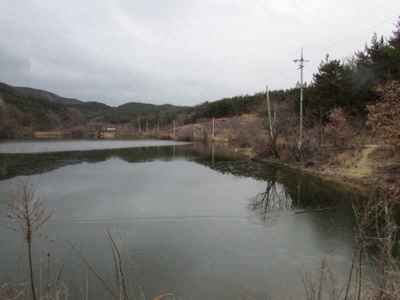 pro_johwang_0231328.jpg