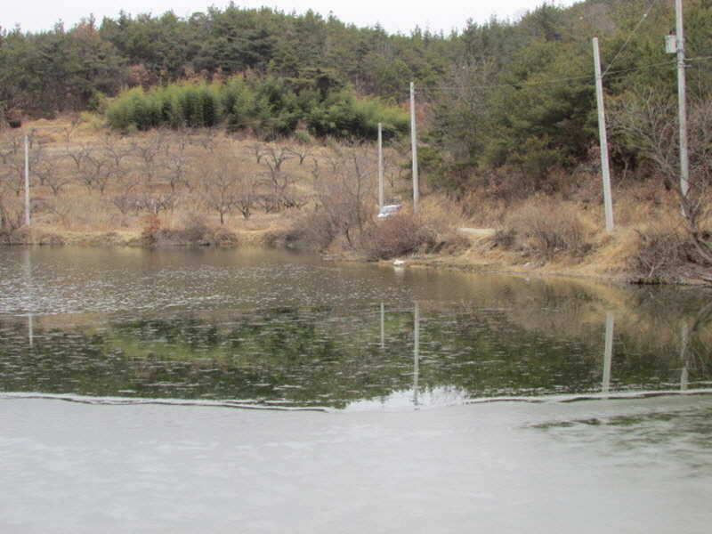 pro_johwang_02314910.jpg