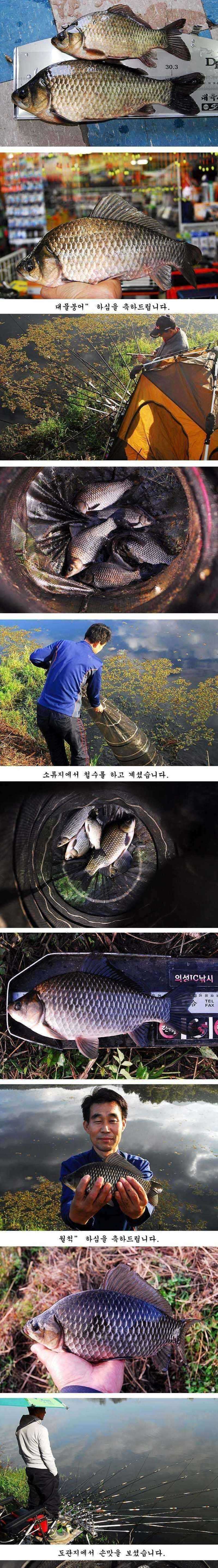 pro_johwang_02320862.jpg