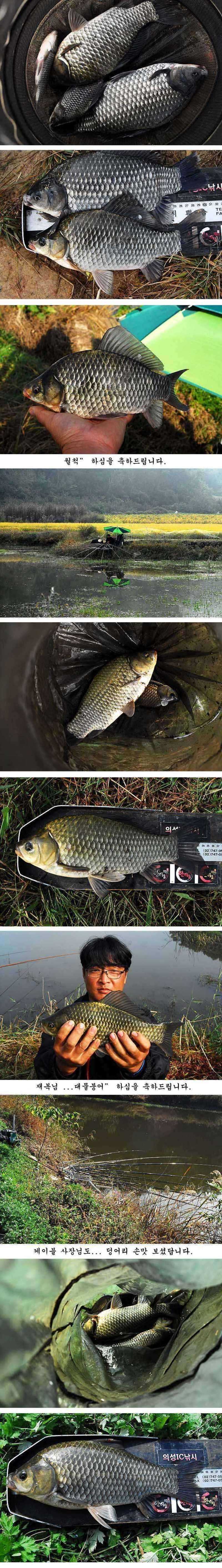 pro_johwang_02321485.jpg