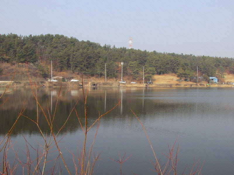pro_johwang_0232374.jpg