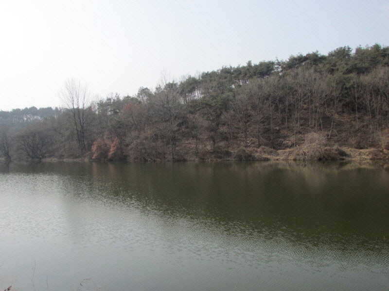 pro_johwang_02354337.jpg