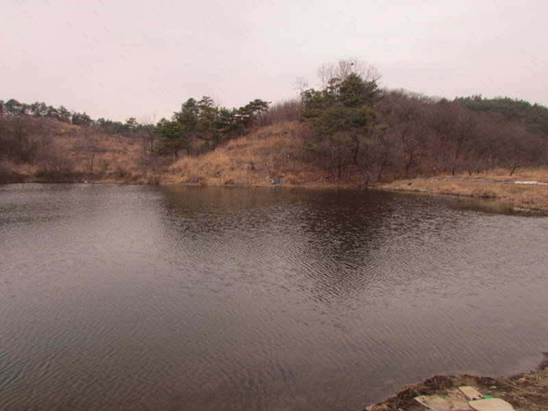 pro_johwang_0239301.jpg