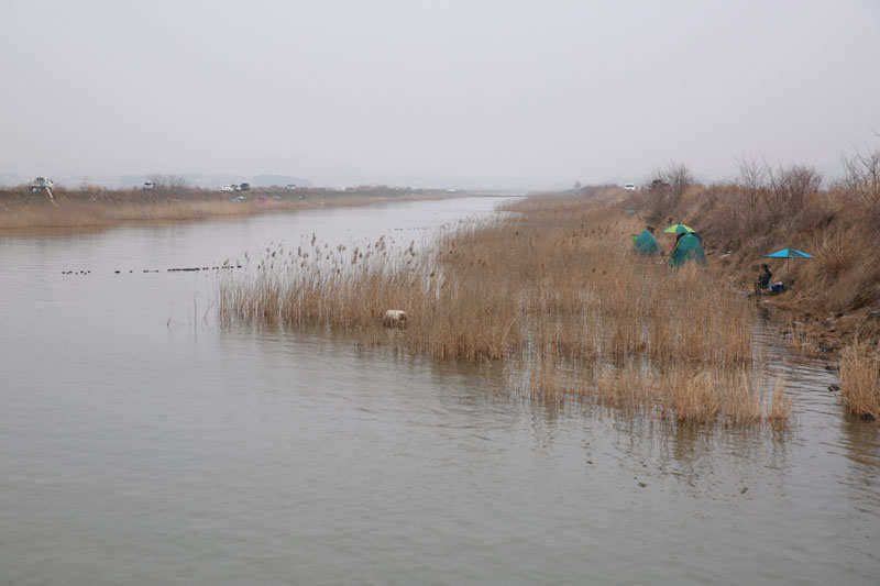 pro_johwang_02512060.jpg