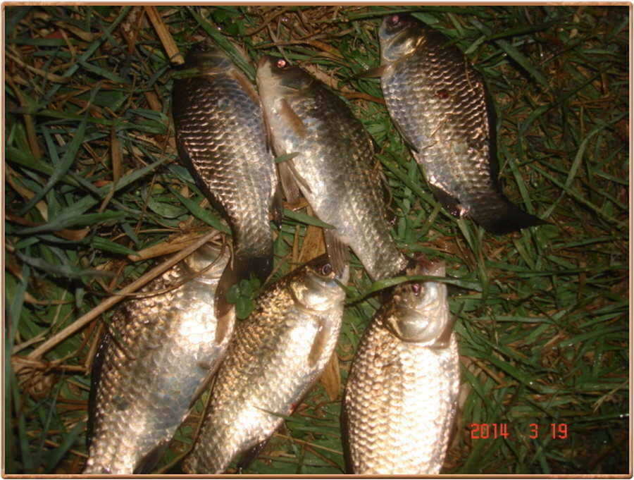 pro_johwang_03062383.jpg