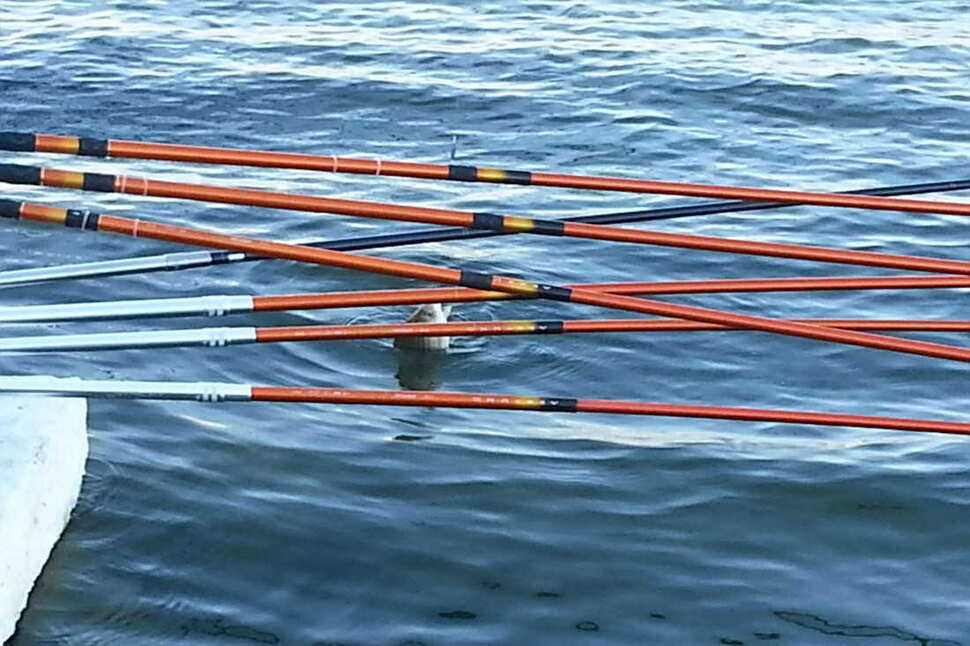 pro_johwang_03090718.jpg