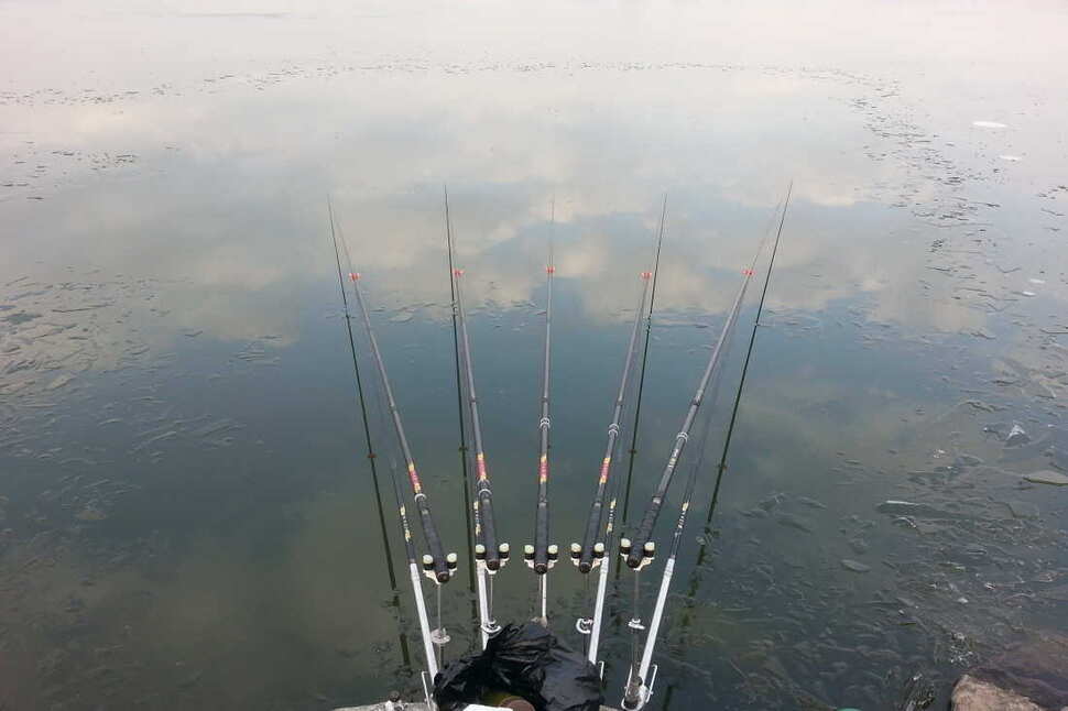 pro_johwang_03121585.jpg