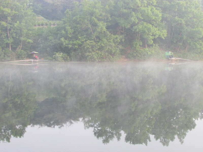 pro_johwang_03135572.jpg