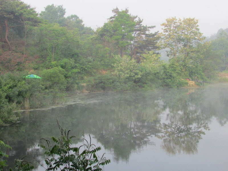 pro_johwang_0314176.jpg
