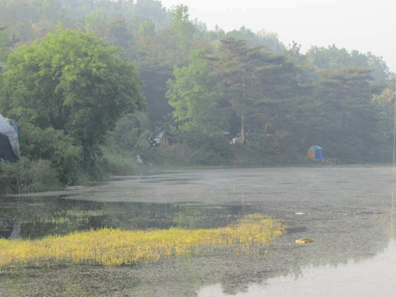 pro_johwang_03152127.jpg