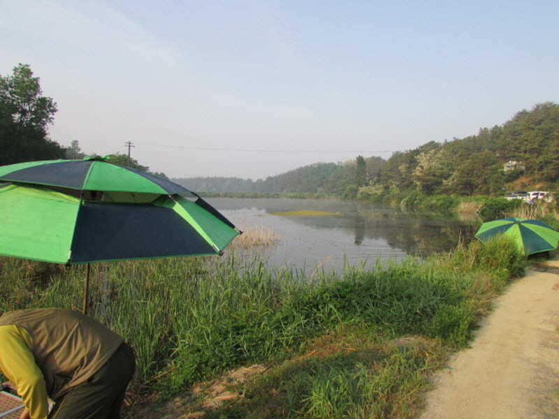 pro_johwang_03152778.jpg