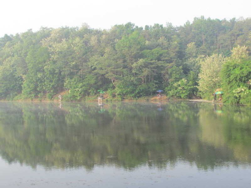 pro_johwang_03174626.jpg