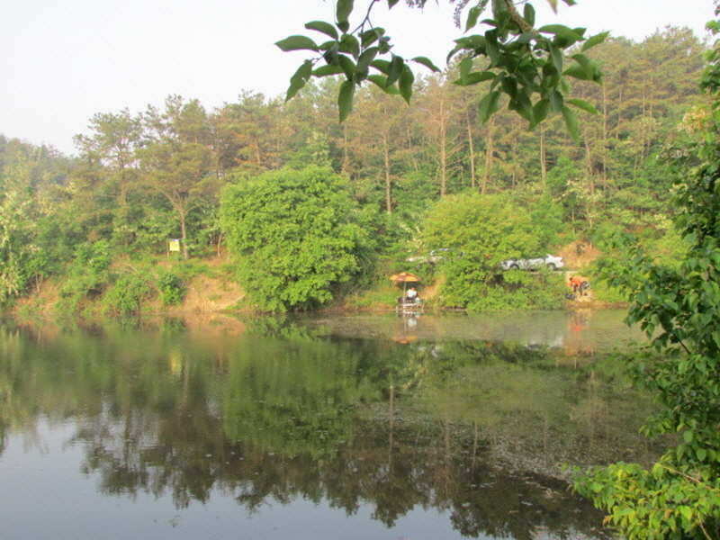 pro_johwang_03175312.jpg