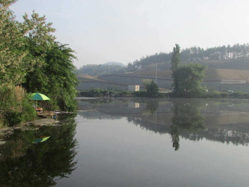 pro_johwang_0318161.jpg