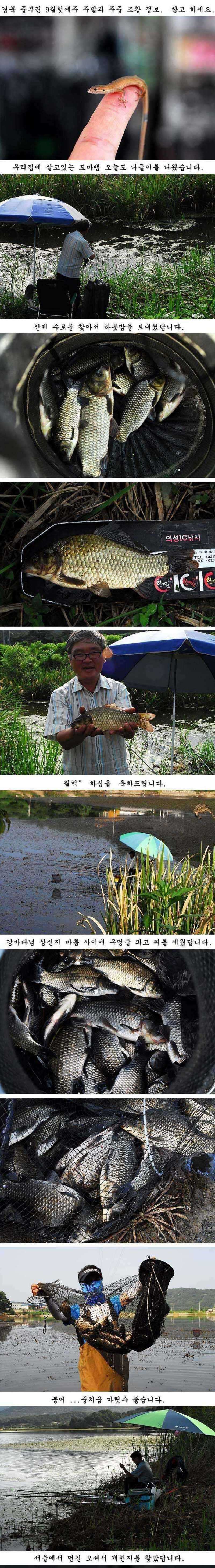 pro_johwang_0324471.jpg