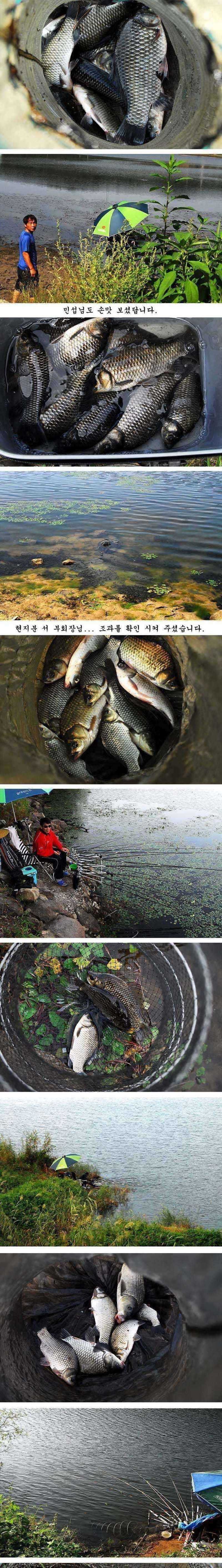 pro_johwang_03245637.jpg