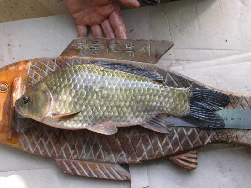pro_johwang_0327003.jpg