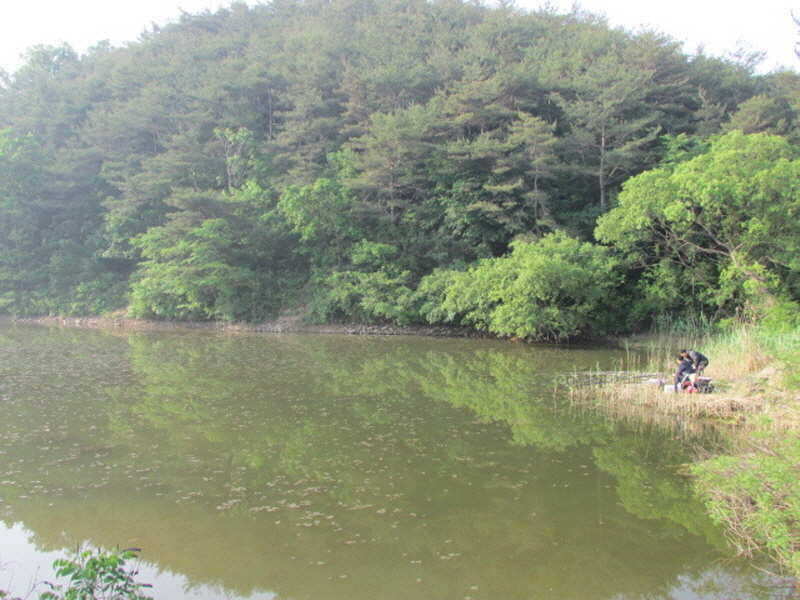 pro_johwang_03290474.jpg
