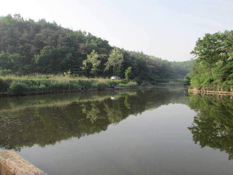 pro_johwang_03291427.jpg