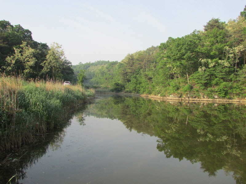 pro_johwang_03292069.jpg