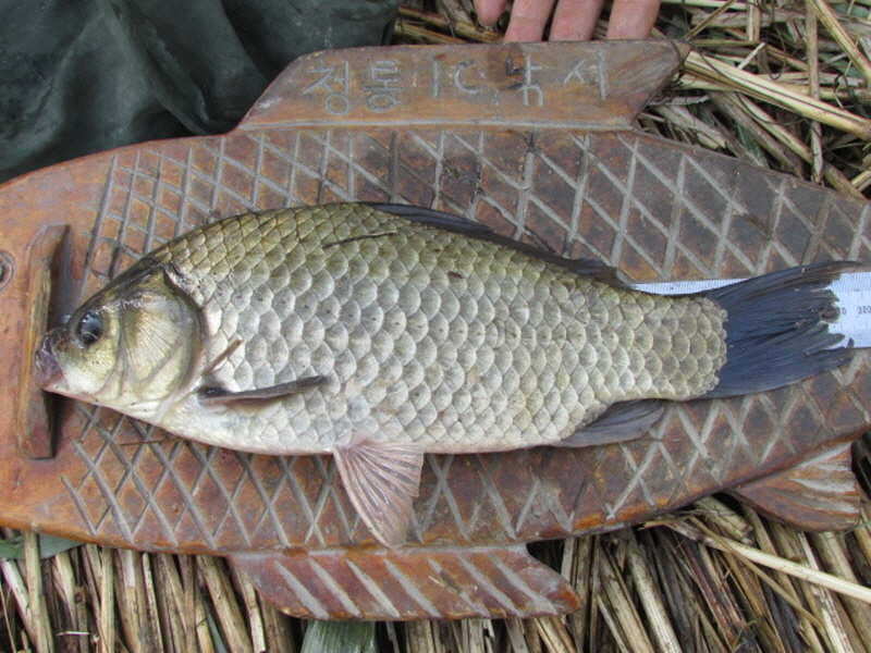 pro_johwang_03293877.jpg