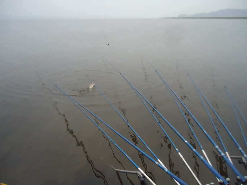pro_johwang_03304074.jpg
