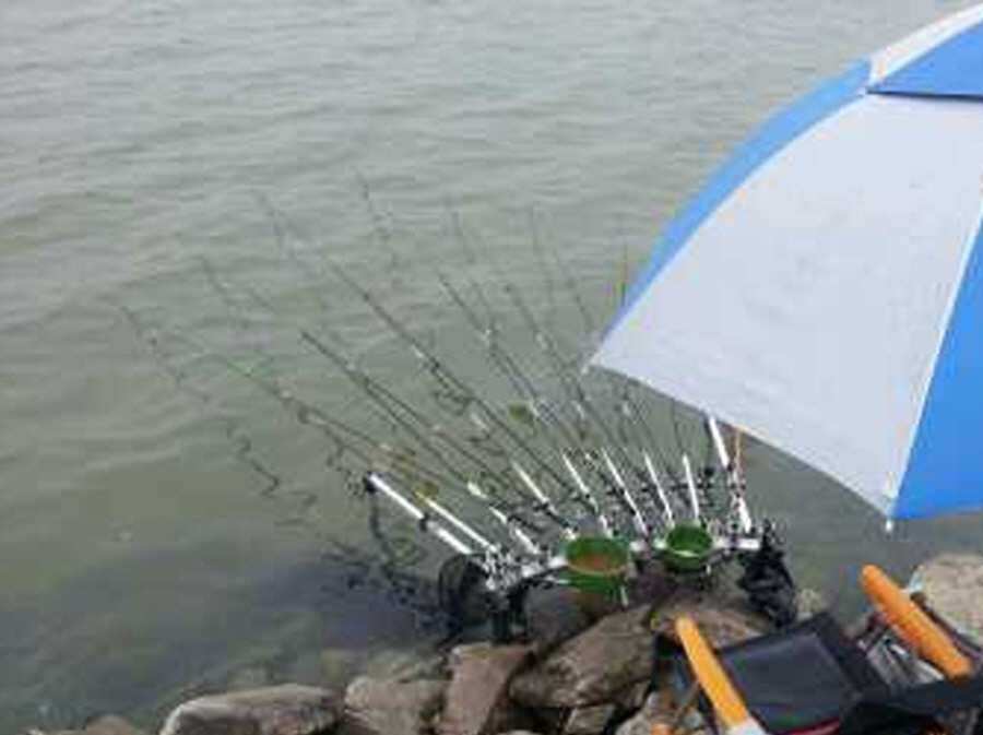 pro_johwang_03311488.jpg