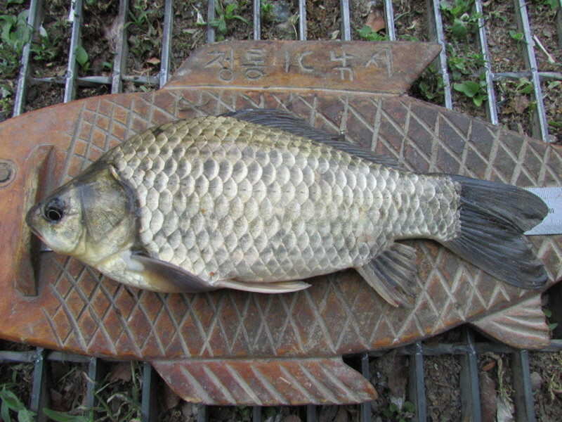 pro_johwang_0333151.jpg
