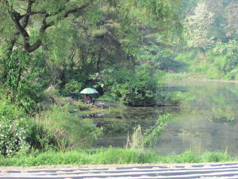 pro_johwang_03372120.jpg