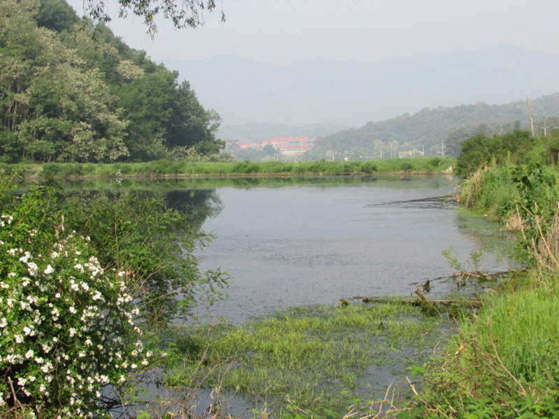 pro_johwang_03372862.jpg