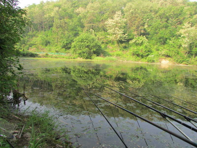 pro_johwang_03373747.jpg