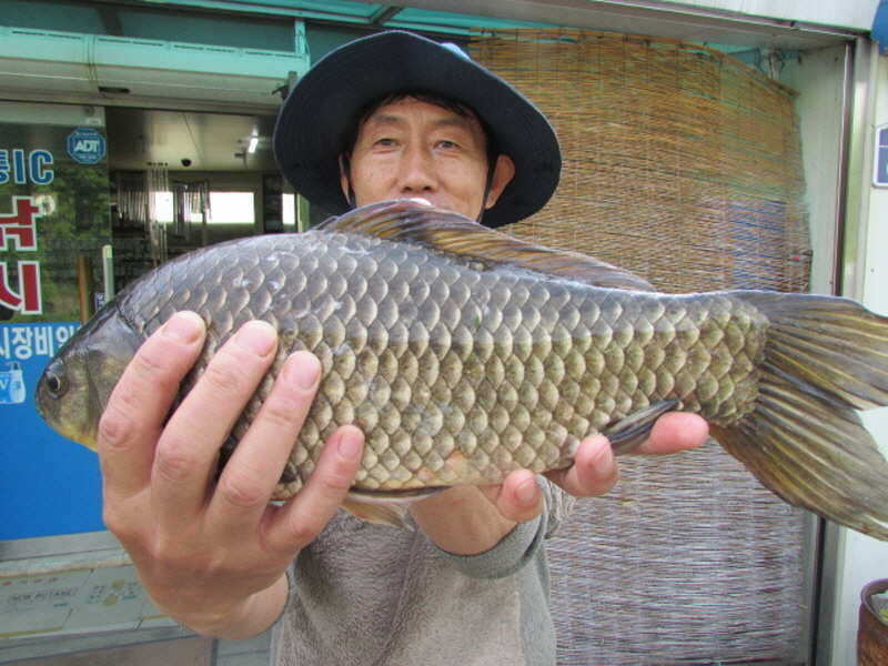 pro_johwang_03384361.jpg