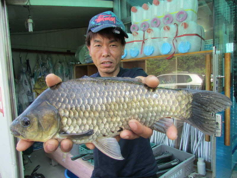 pro_johwang_03403030.jpg