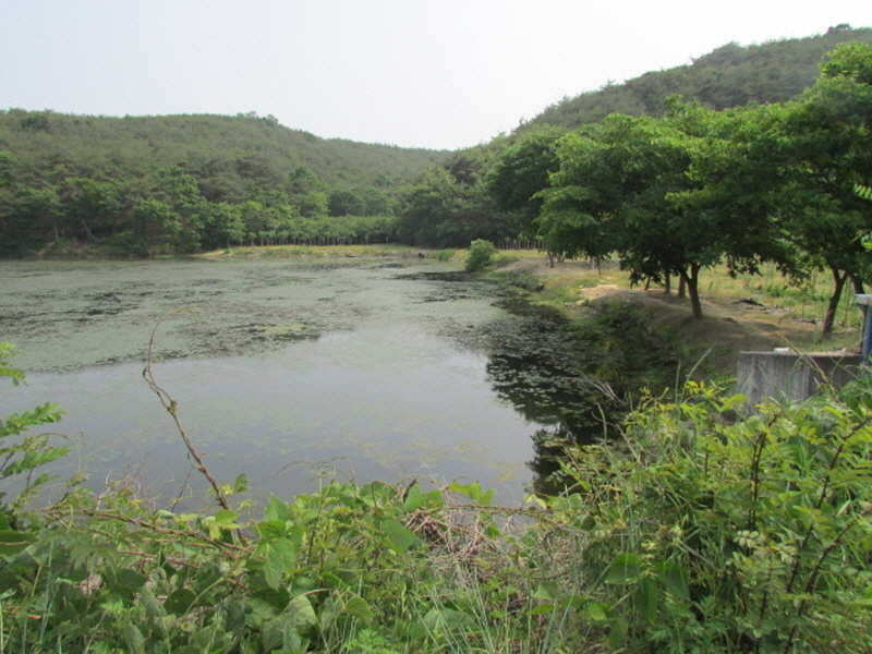 pro_johwang_03420491.jpg