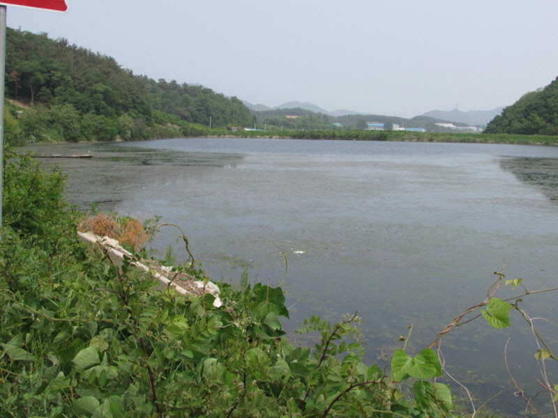 pro_johwang_03422083.jpg