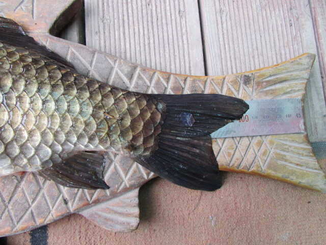 pro_johwang_03464685.jpg