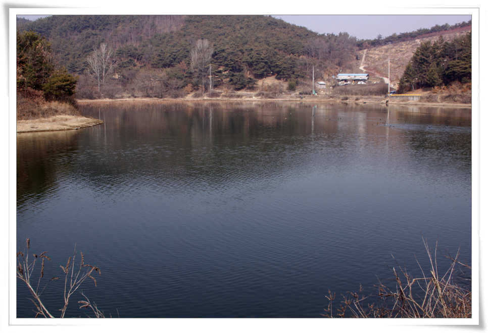 pro_johwang_03491719.jpg