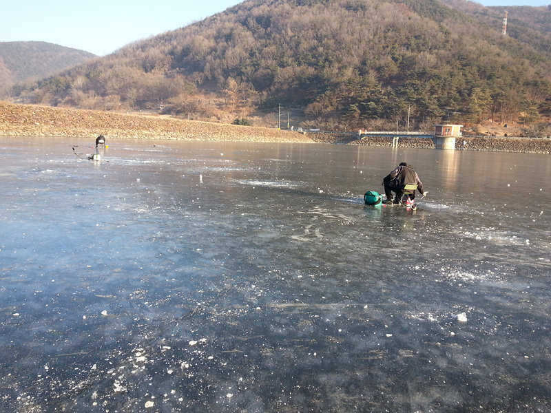 pro_johwang_03512214.jpg