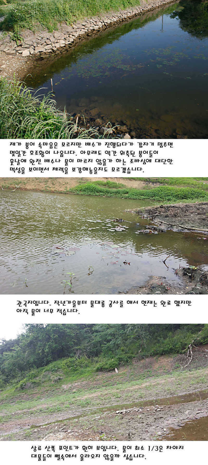 pro_johwang_03533630.jpg