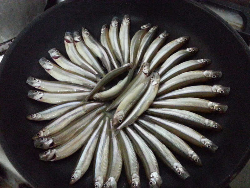 pro_johwang_04081027.jpg