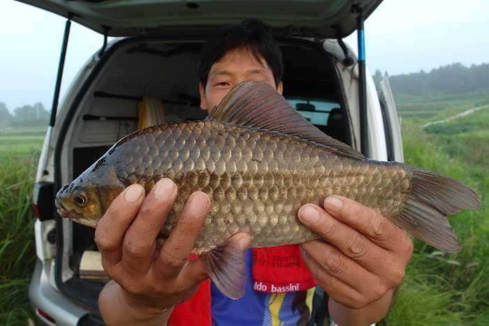 pro_johwang_0408139.jpg