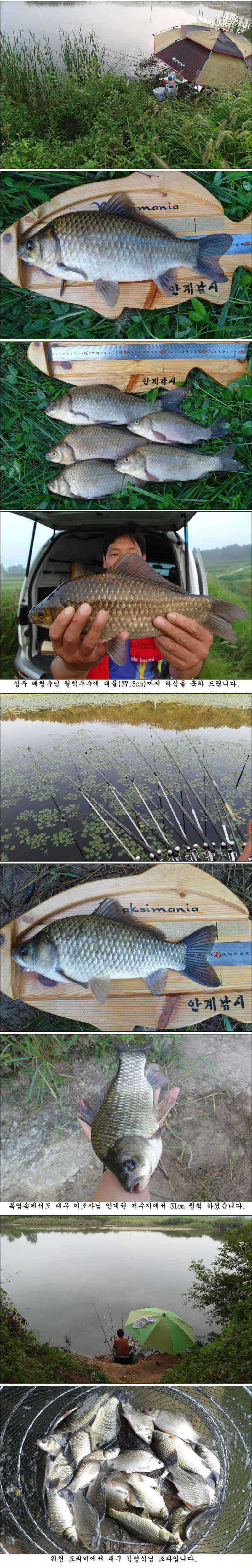 pro_johwang_04100475.jpg