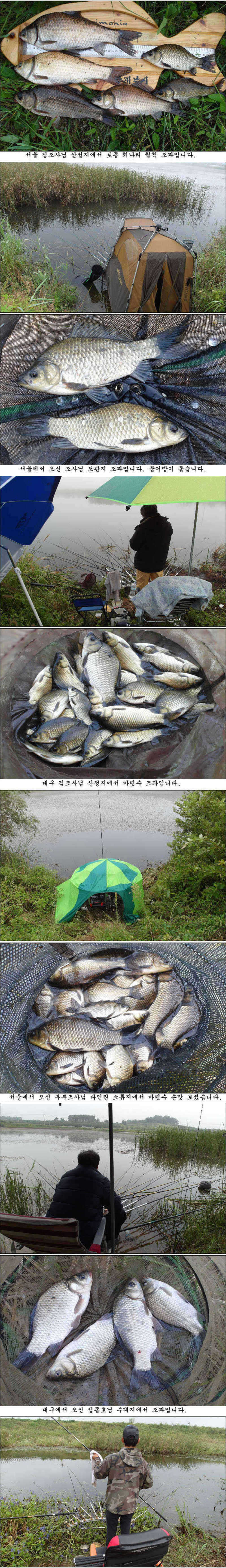 pro_johwang_04232283.jpg