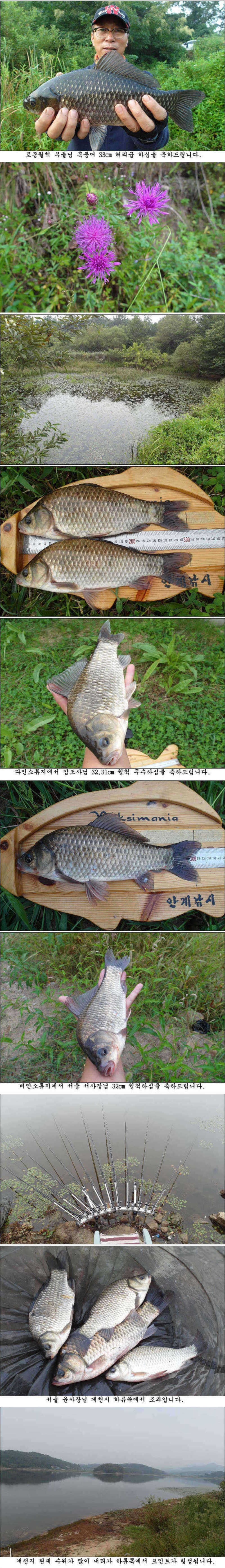 pro_johwang_04234890.jpg