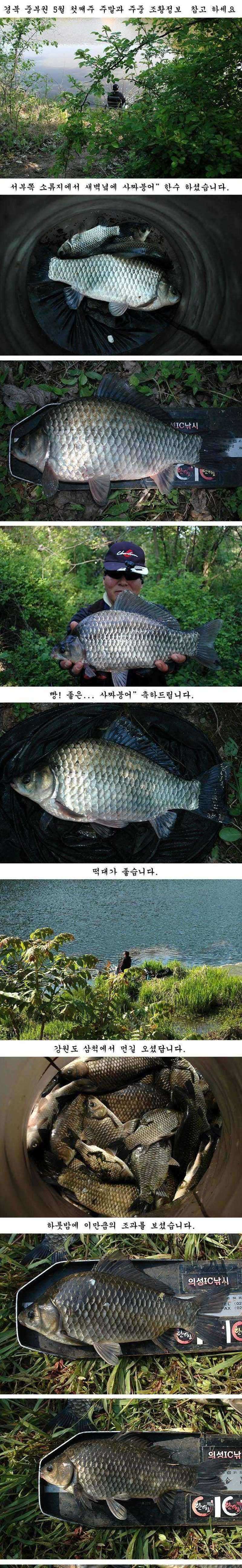 pro_johwang_04242637.jpg