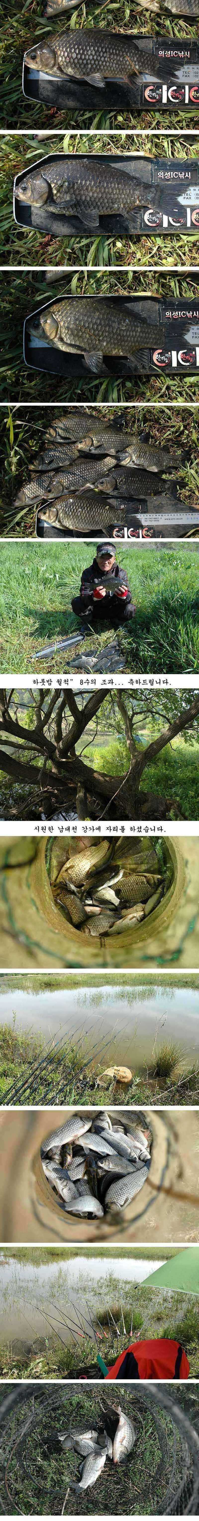 pro_johwang_04243196.jpg