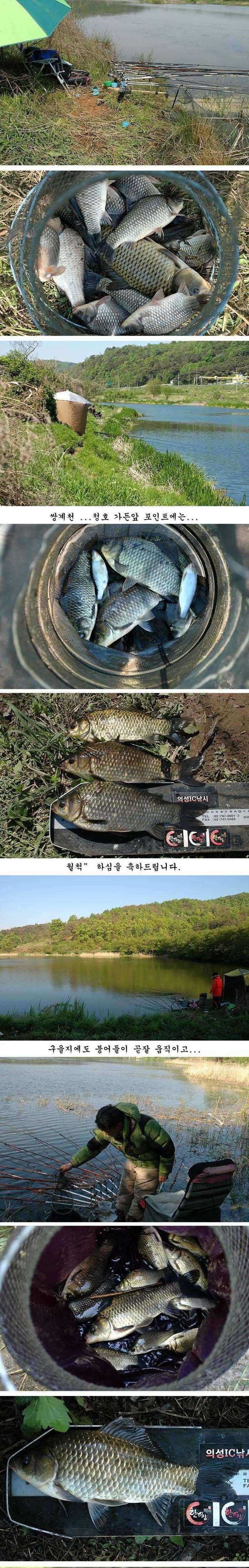 pro_johwang_04243588.jpg