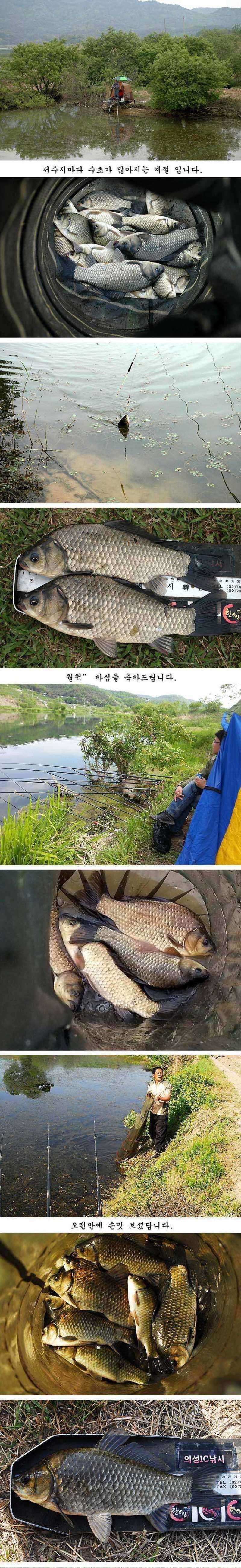 pro_johwang_04244675.jpg